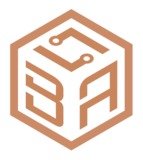 Burson Audio